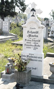 Schmidt-Martin